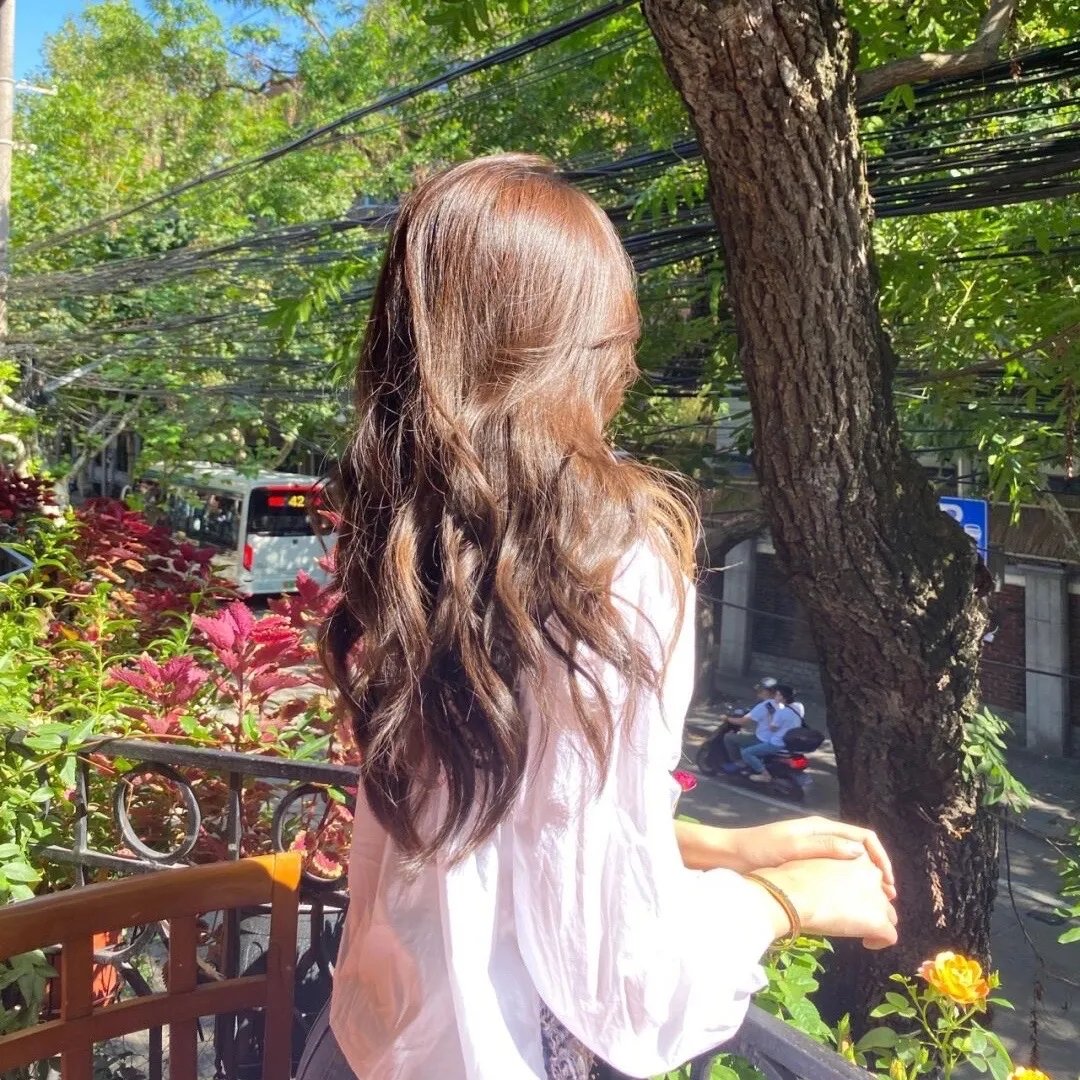 蒲公英的灰尘